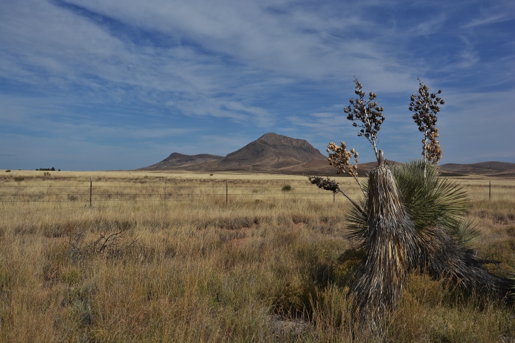 desert scenery